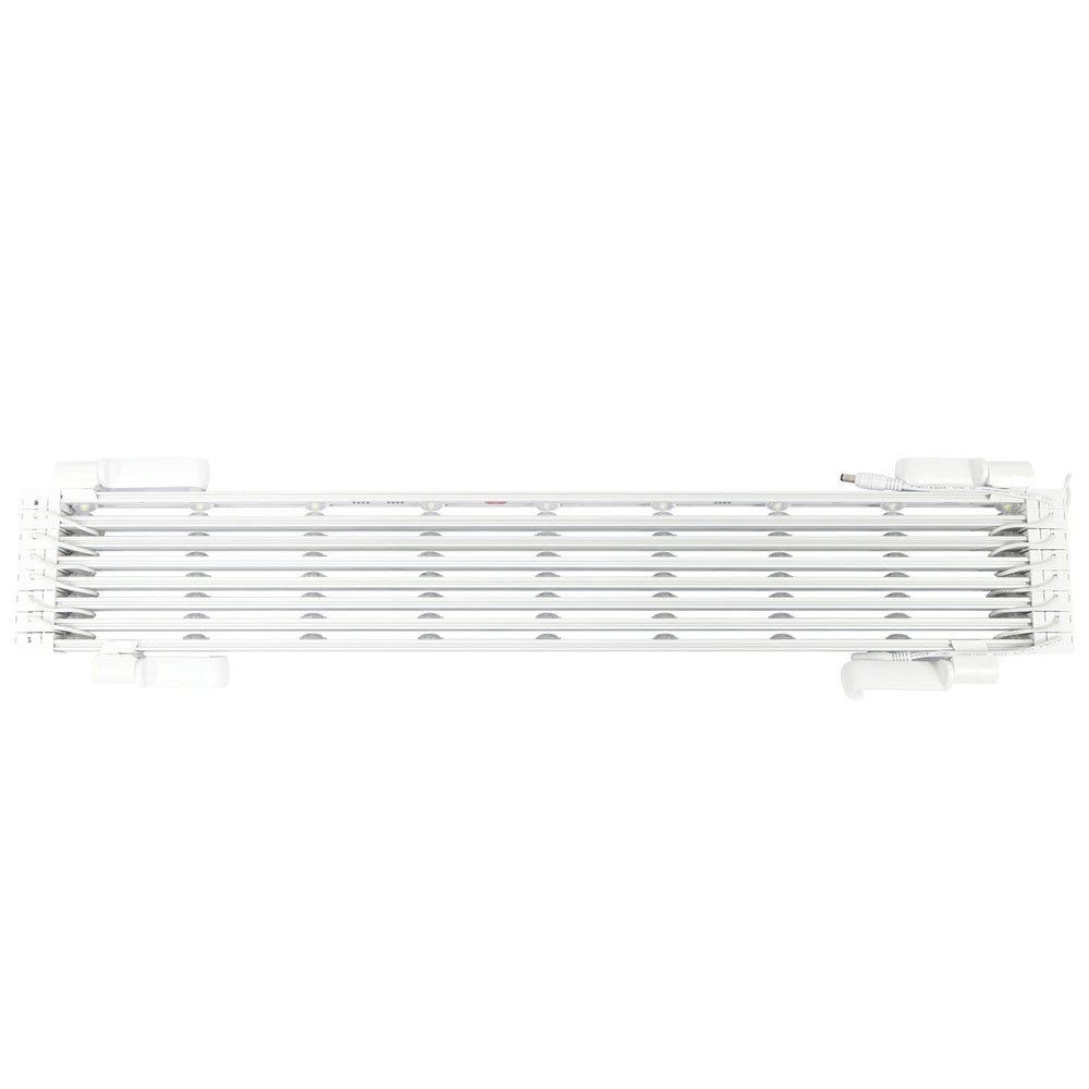 Lumiere Light Wall Backlit Display