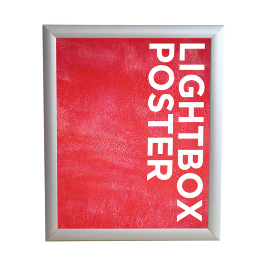29in x 39in Trappa LightBox 04 (Graphic Package)