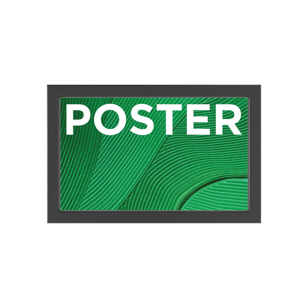 11in x 17in Trappa Poster Frame Display