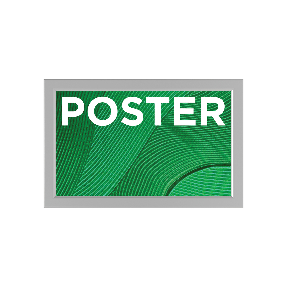 11in x 17in Trappa Poster Frame Display