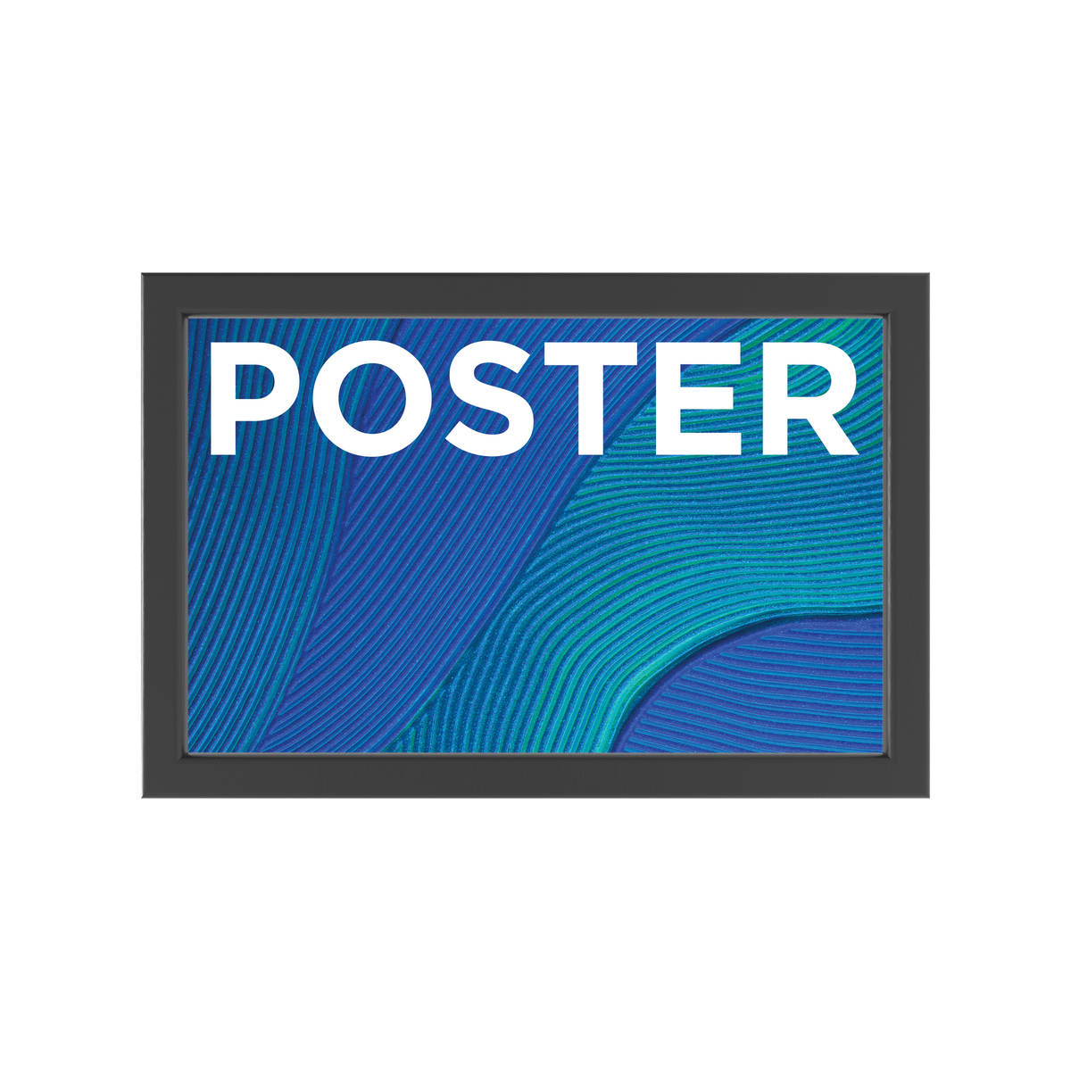 12in  x 18in Trappa Poster Frame Display