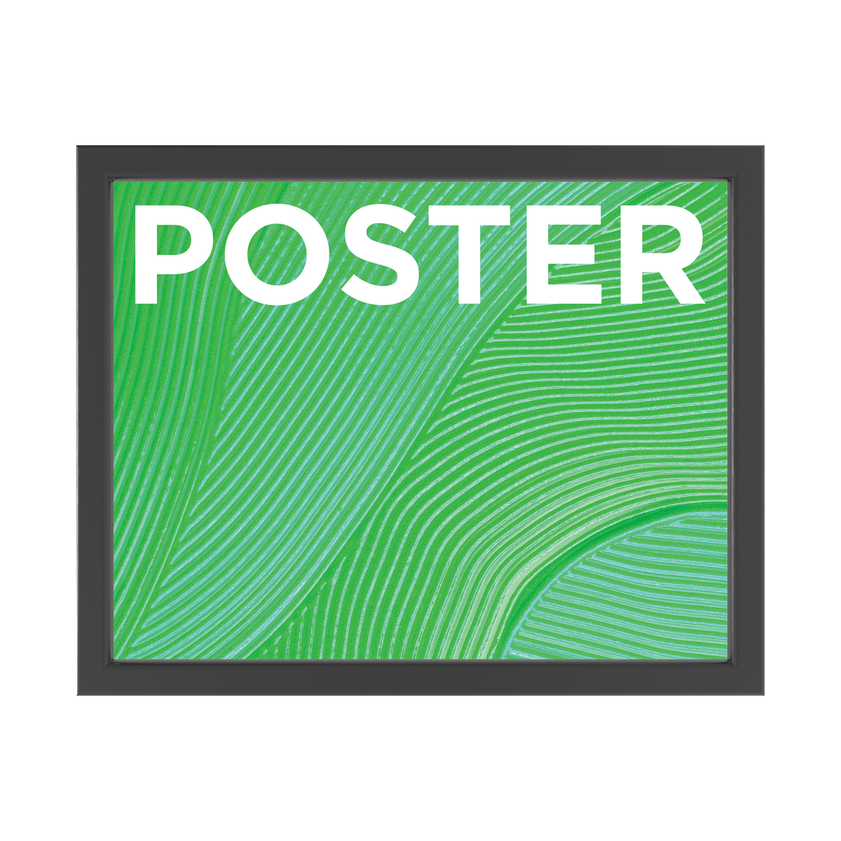 16in x 20in Trappa Poster Frame Display