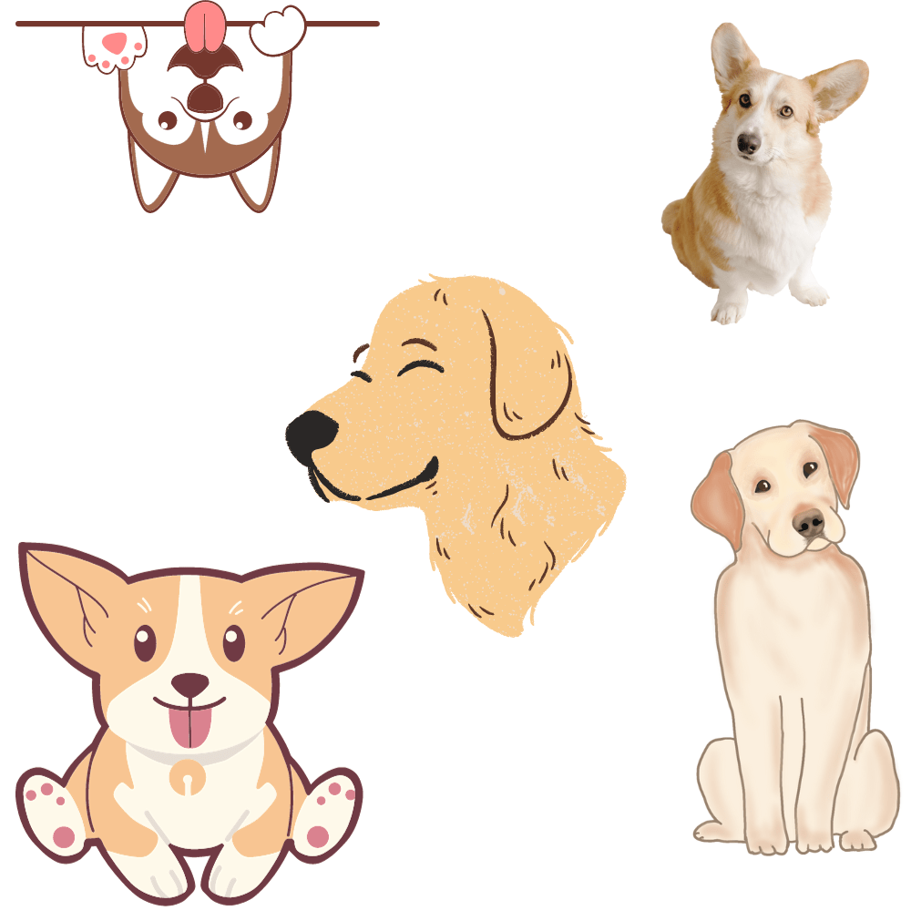 The Best product in the Universe - All4Displays